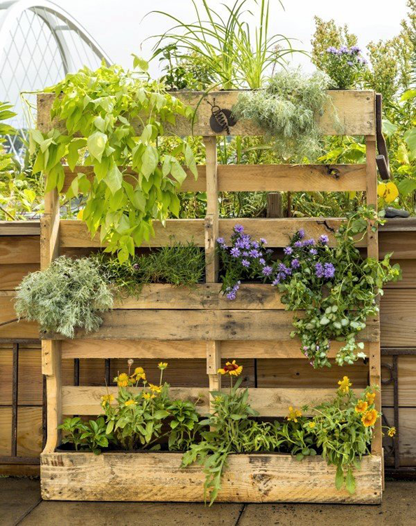Verticle pallet filled with plants